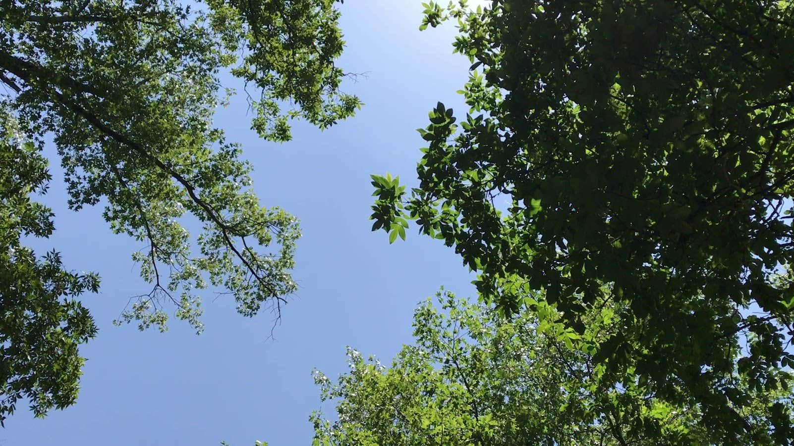 Camper-submitted photo at Horseshoe Bend Rec Area & Campground near Rogers, AR