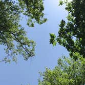 Review photo of Horseshoe Bend Rec Area & Campground by Steve W., July 24, 2017