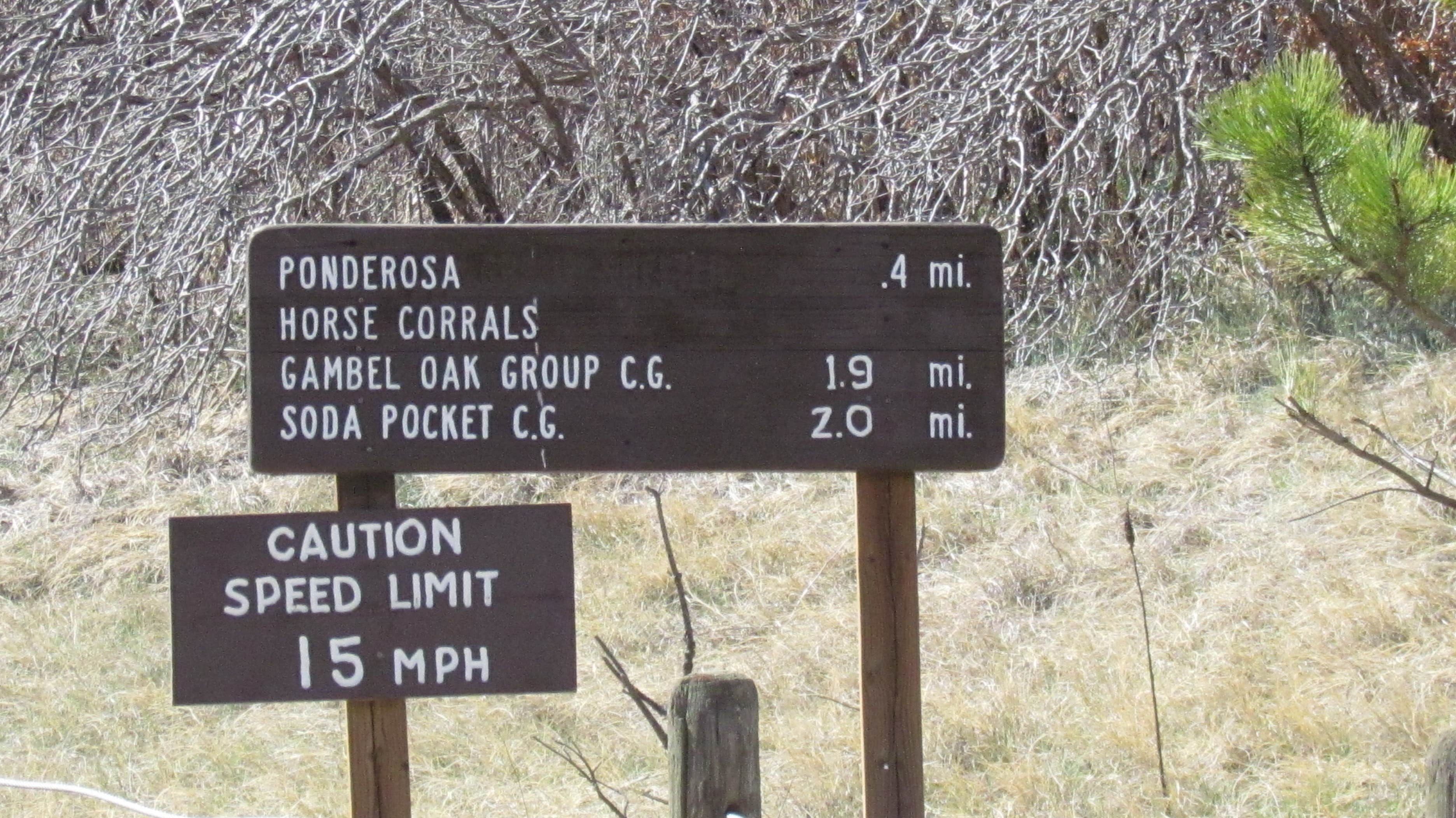 Camper submitted image from Lake Alice Campground — Sugarite Canyon State Park - 3