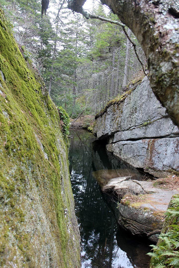 Camper-submitted photo at Grafton Notch Campground near Hanover, ME
