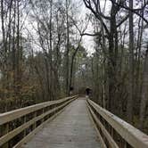 Review photo of Reed Bingham State Park Campground by Christy C., July 24, 2017