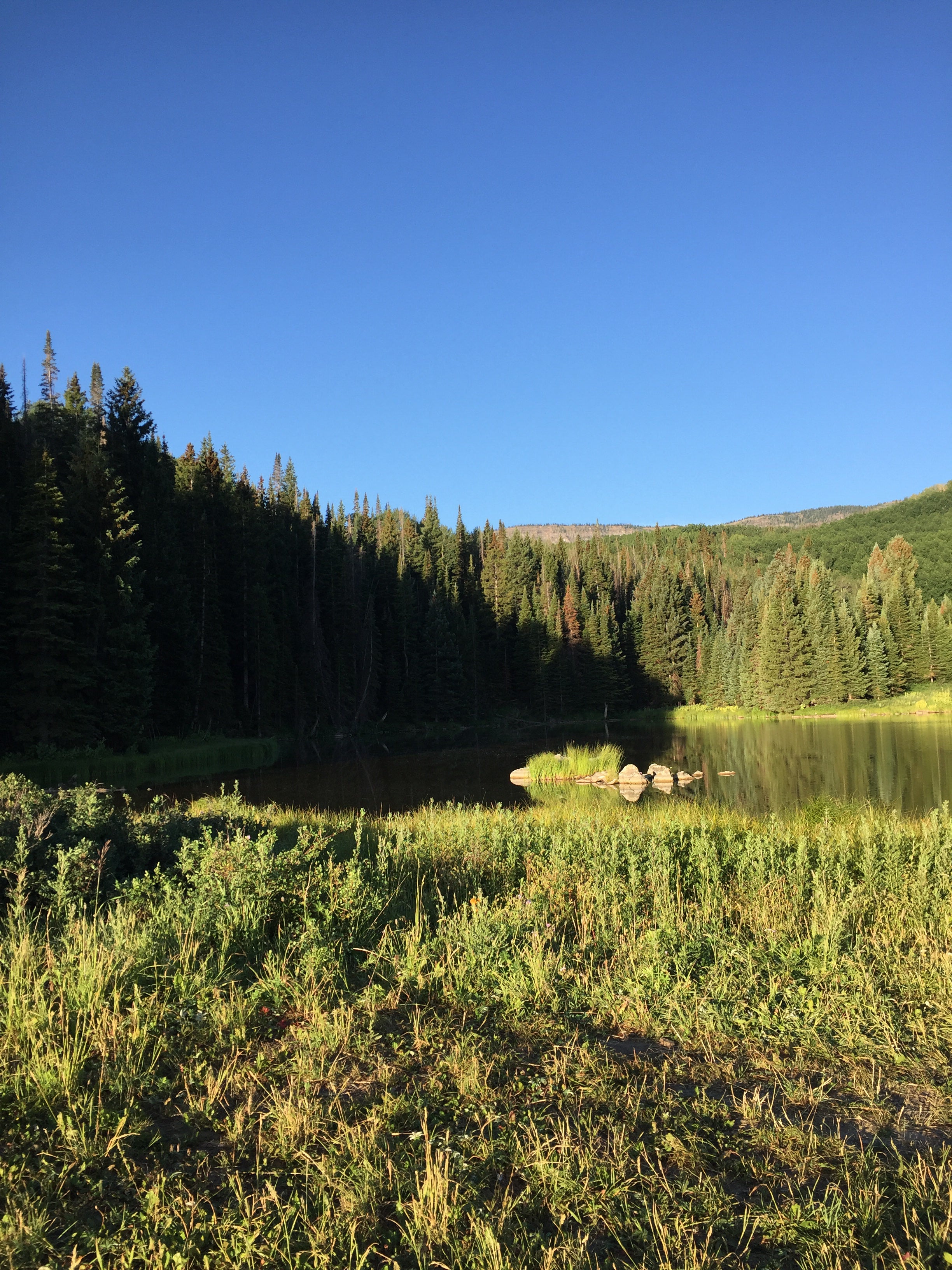 Camper submitted image from Crosho Lake Recreation Area - 3