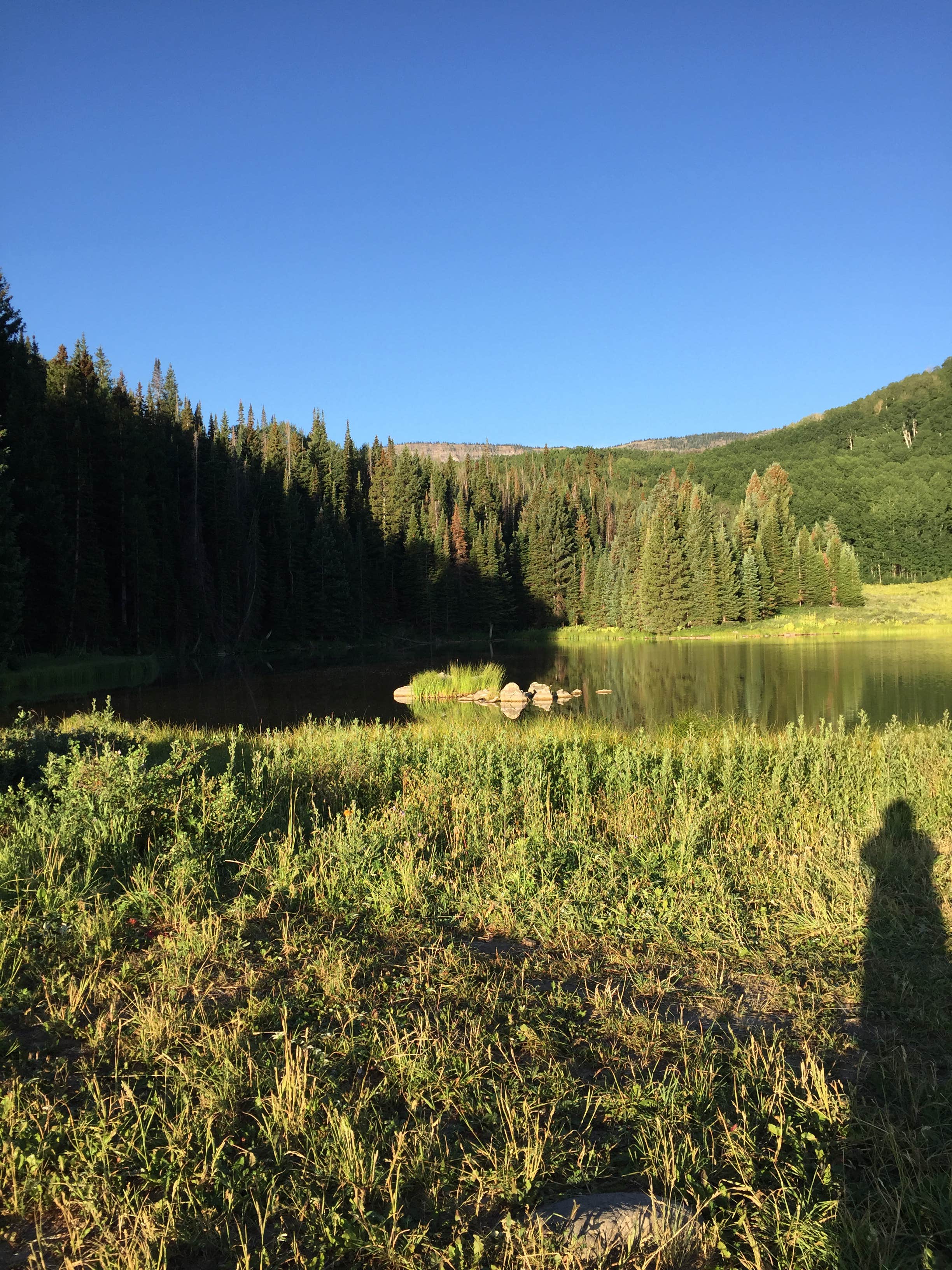 Camper submitted image from Crosho Lake Recreation Area - 2