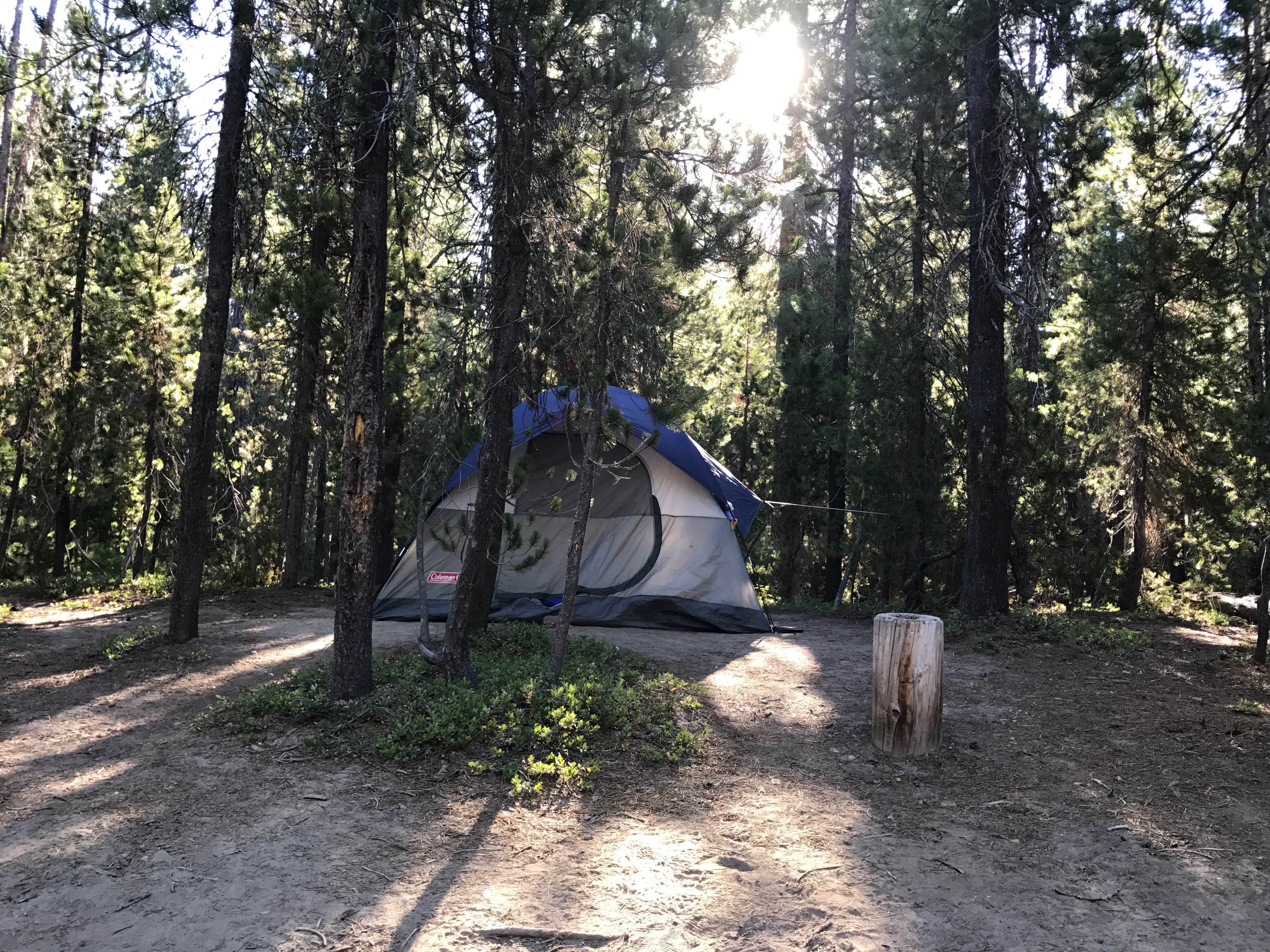 Kristina  H.'s photo at Bumping Lake Campground near Goose Prairie, WA
