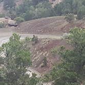 Review photo of Big Dominguez Campground by Melissa K., July 25, 2017