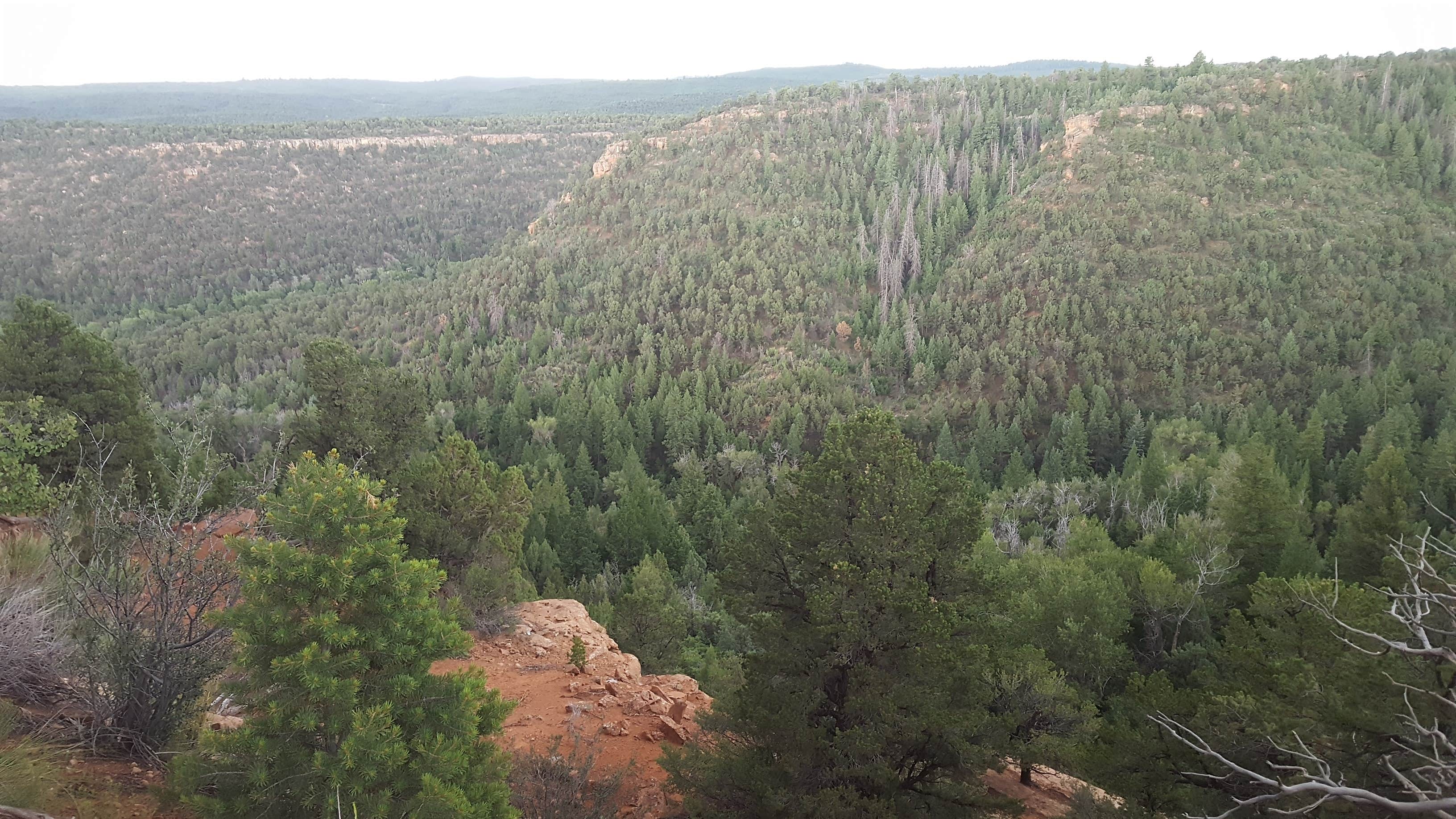Camper-submitted photo at Big Dominguez Campground near Mack, CO