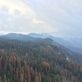 Review photo of Lodgepole Campground — Sequoia National Park by Sharon C., July 25, 2017