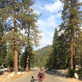 Review photo of Lodgepole Campground — Sequoia National Park by Sharon C., July 25, 2017