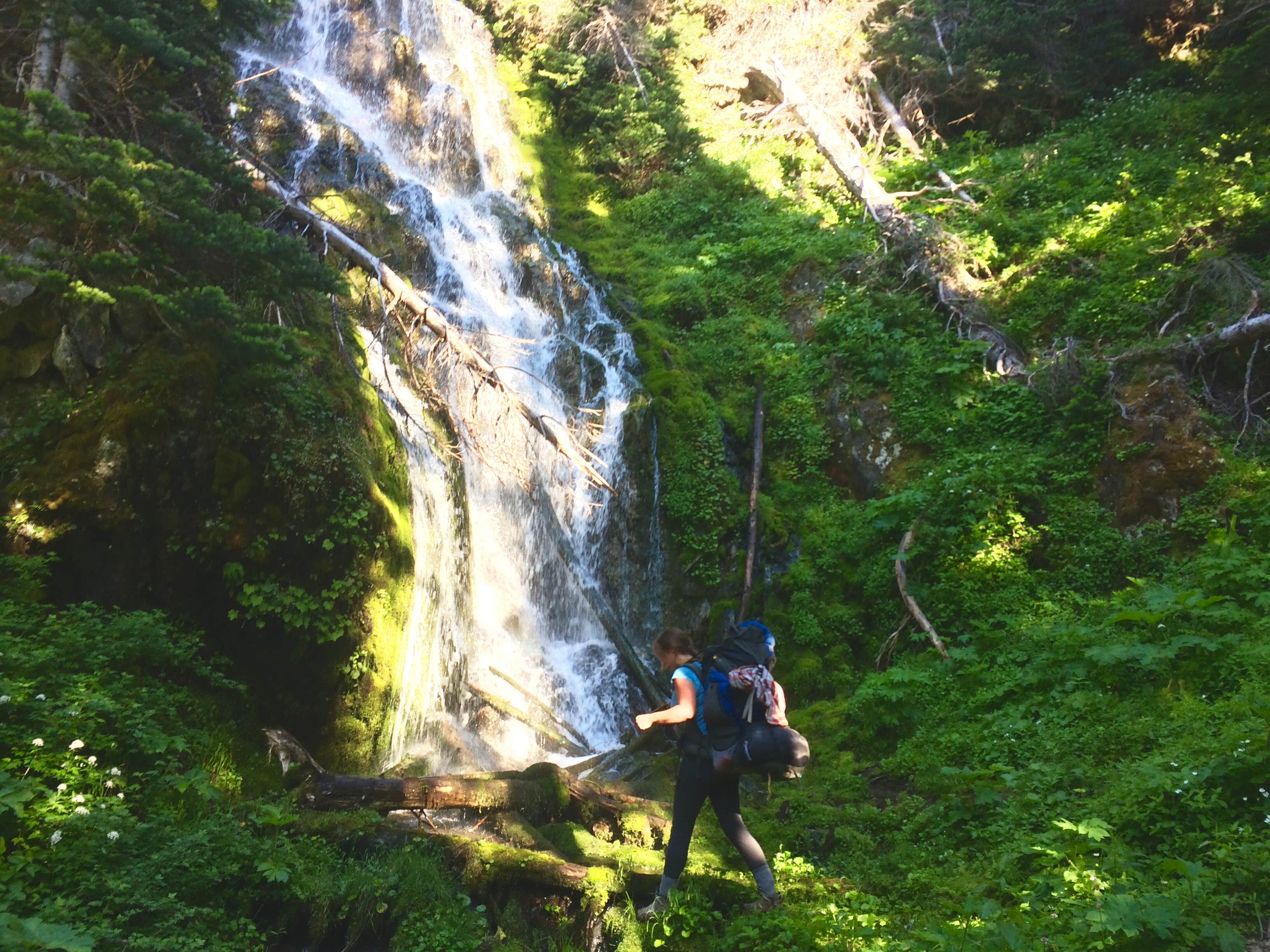 Camper submitted image from PJ Lake Backcountry Camping — Olympic National Park - 2