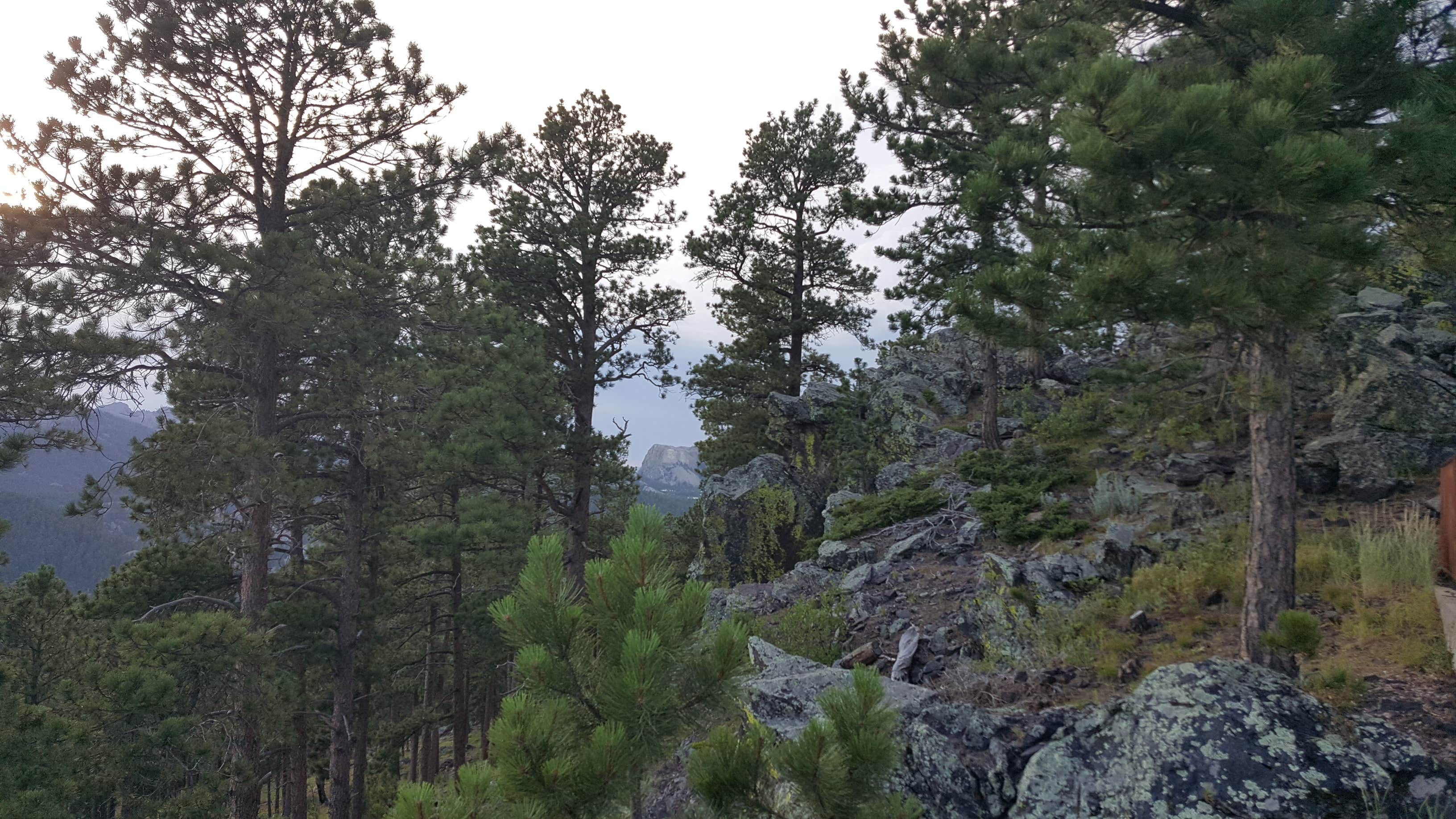 Camper submitted image from Grizzly Creek Primitive - 2