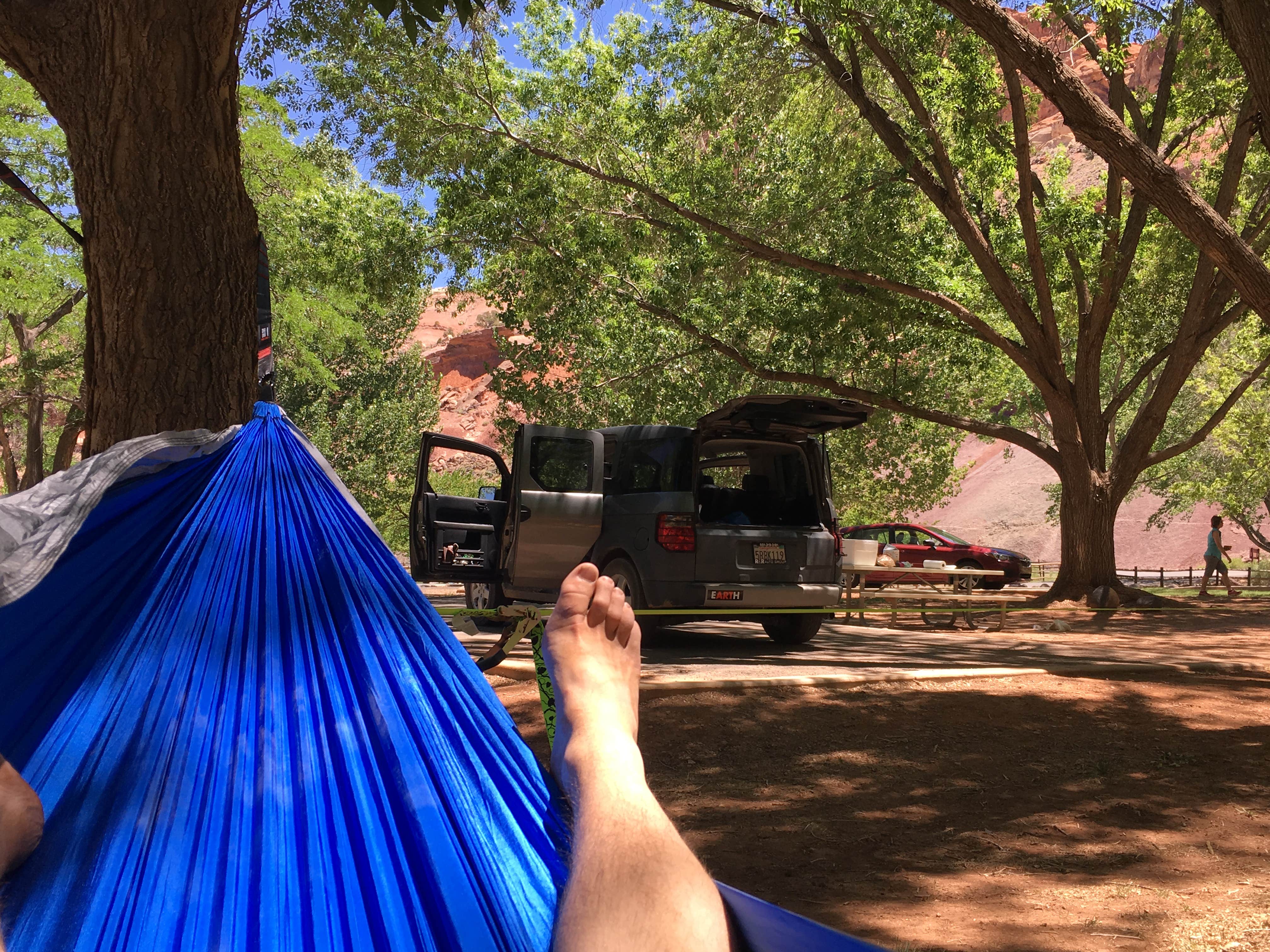Thomas J.'s photo at Fruita Campground — Capitol Reef National Park near Capitol Reef National Park