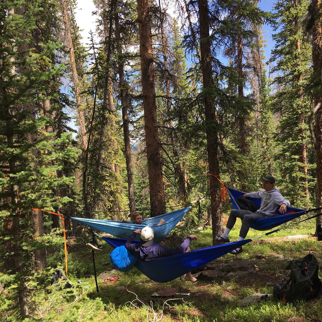 Camper submitted image from Christmas Meadows - 4