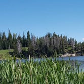Review photo of Dutch Hill Campground — Steamboat Lake State Park by AnaLee D., July 25, 2017