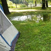 Review photo of Matsell Bridge Natural Area by Randi C., July 25, 2017