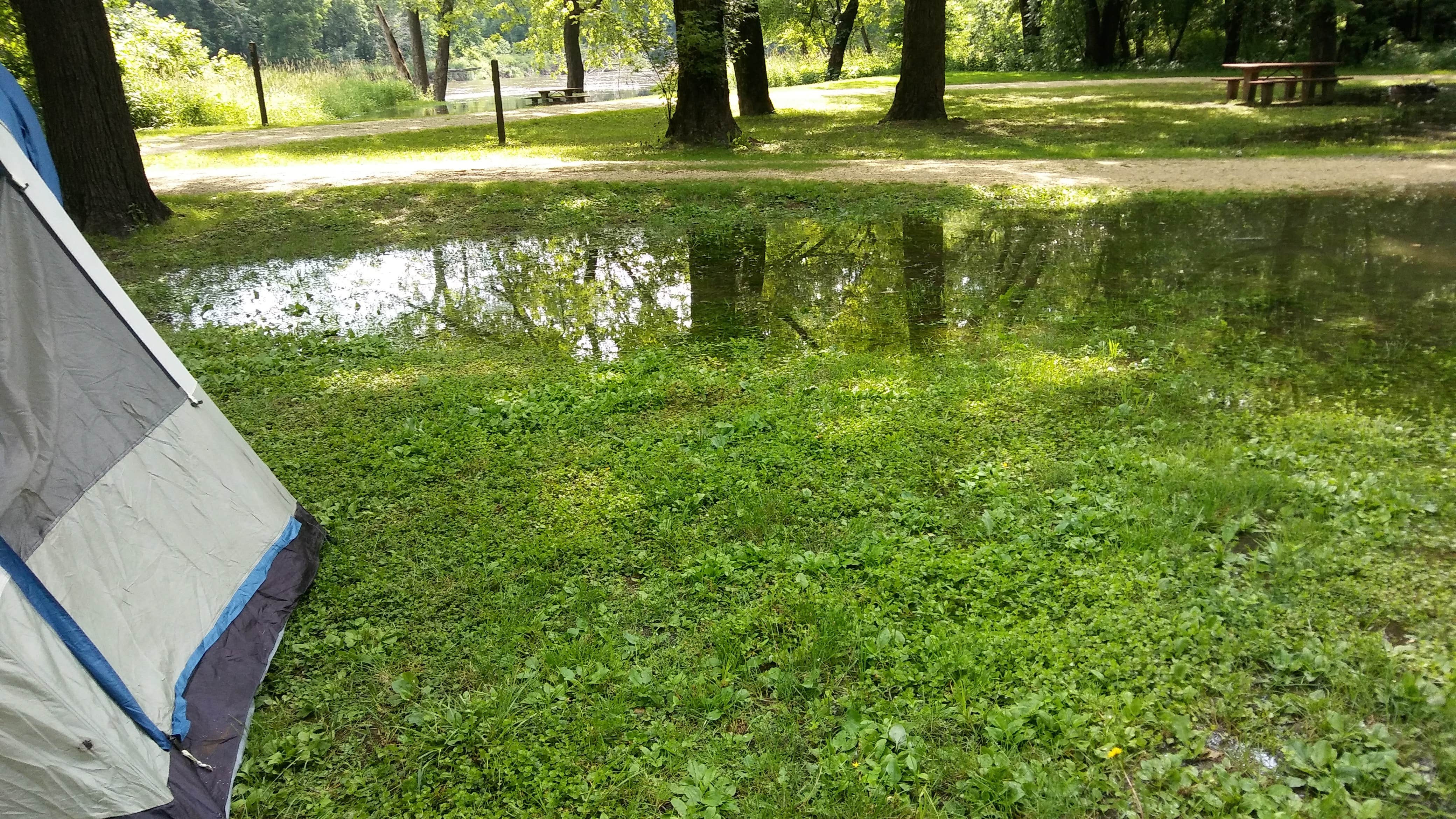 Camper submitted image from Matsell Bridge Natural Area - 2
