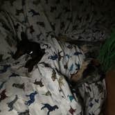 Review photo of Dunewood Campground — Indiana Dunes National Park by Shelly S., July 26, 2017