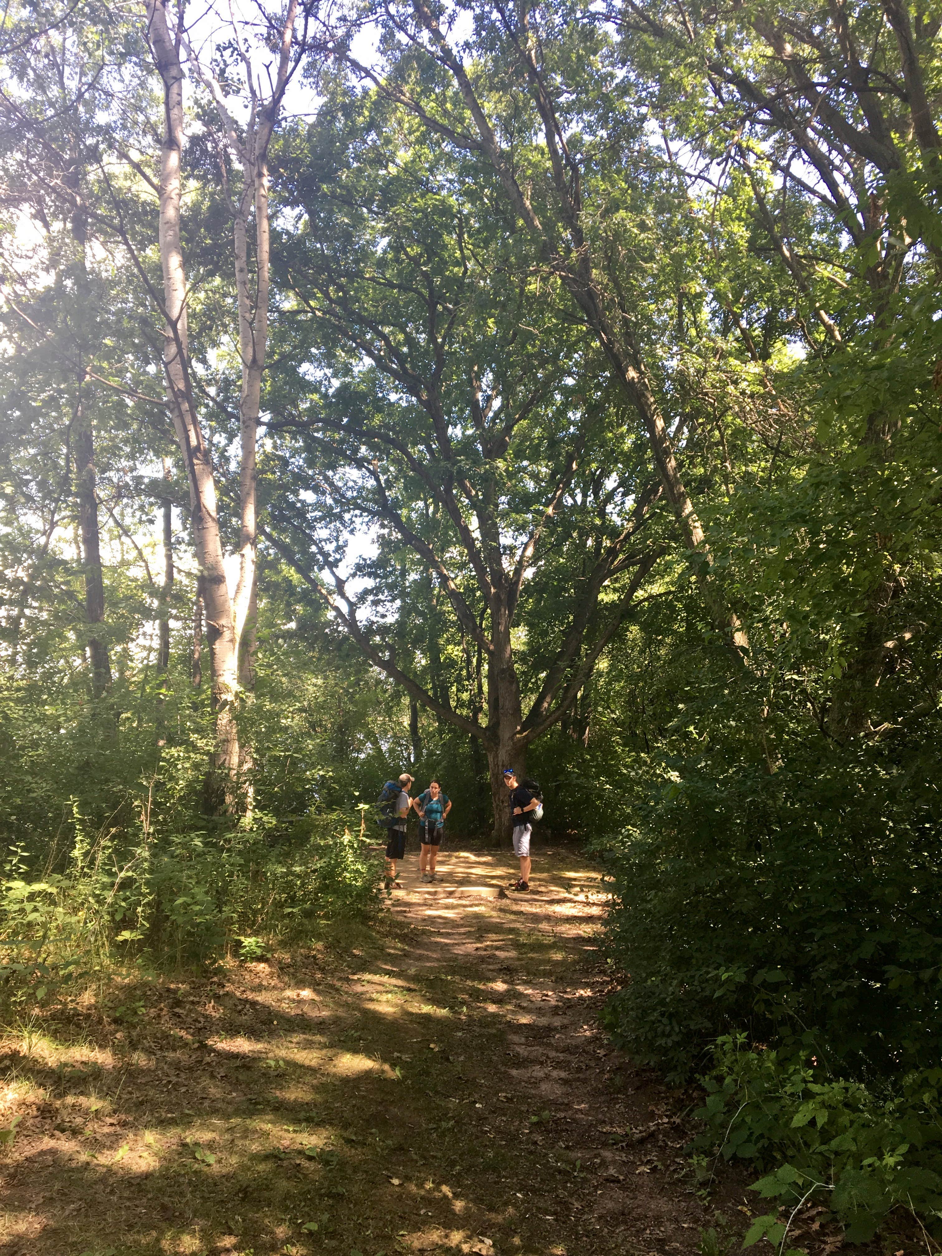Camper submitted image from Lake Elmo County Park Reserve - 4