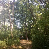 Review photo of Lake Elmo County Park Reserve by Steph H., July 26, 2017
