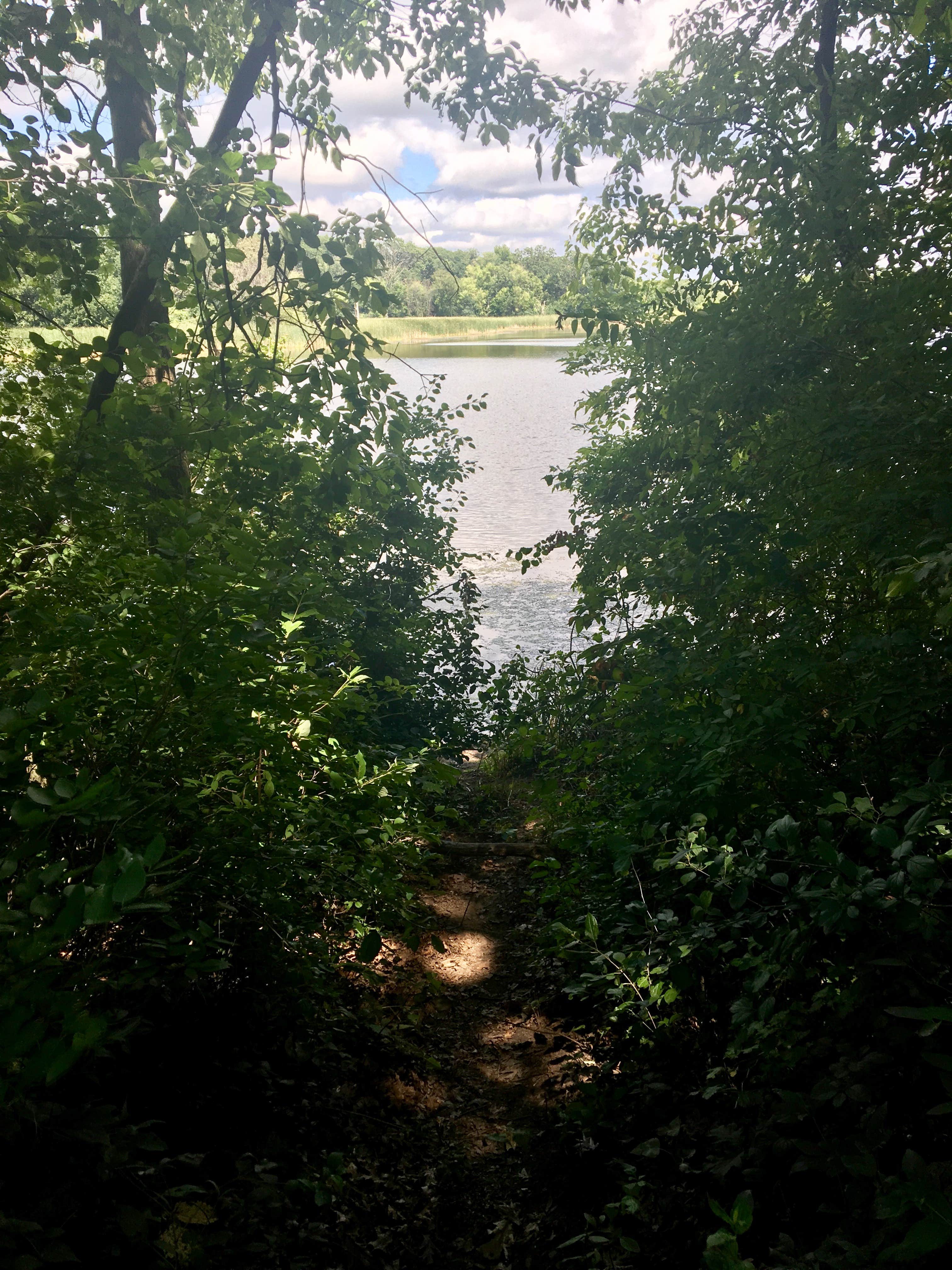 Camper submitted image from Lake Elmo County Park Reserve - 1