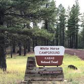 Review photo of White Horse Lake Campground by Alexandria G., July 26, 2017