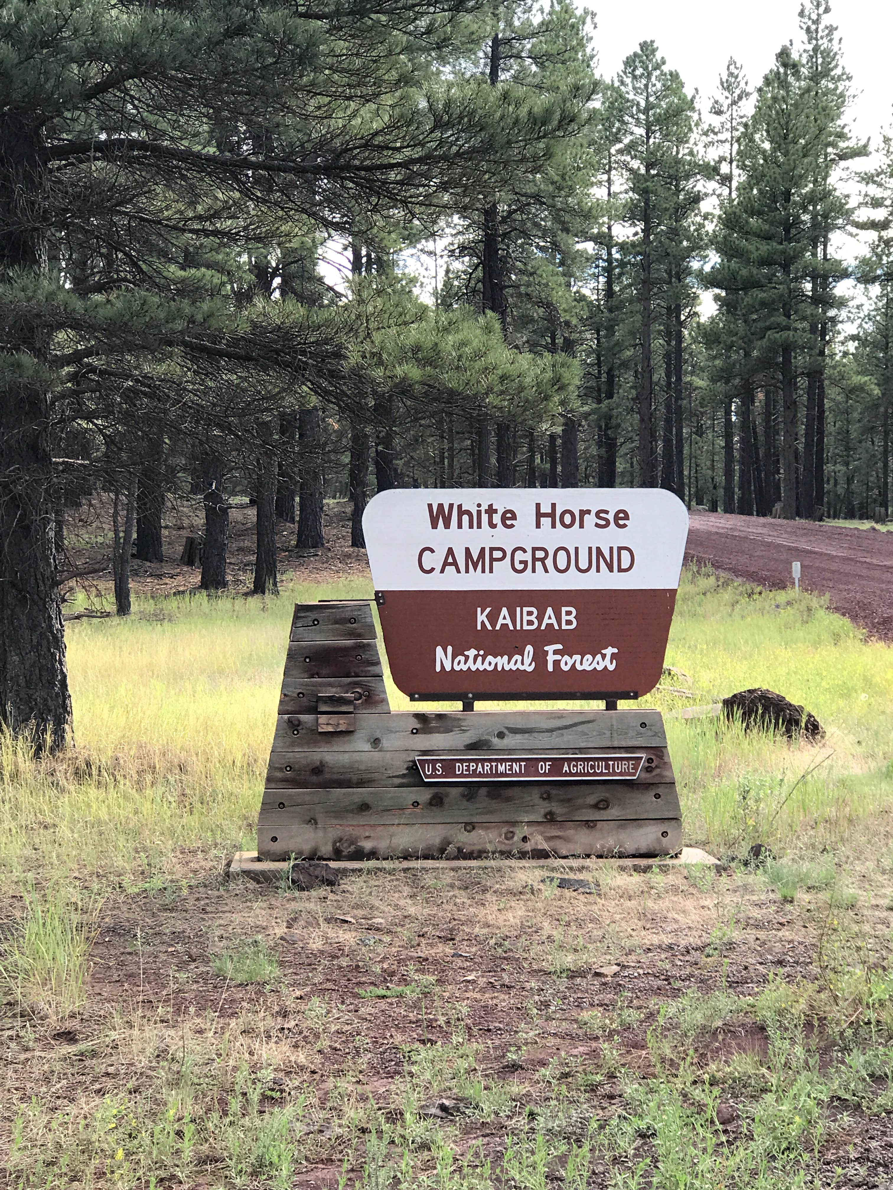 Camper submitted image from White Horse Lake Campground - 2