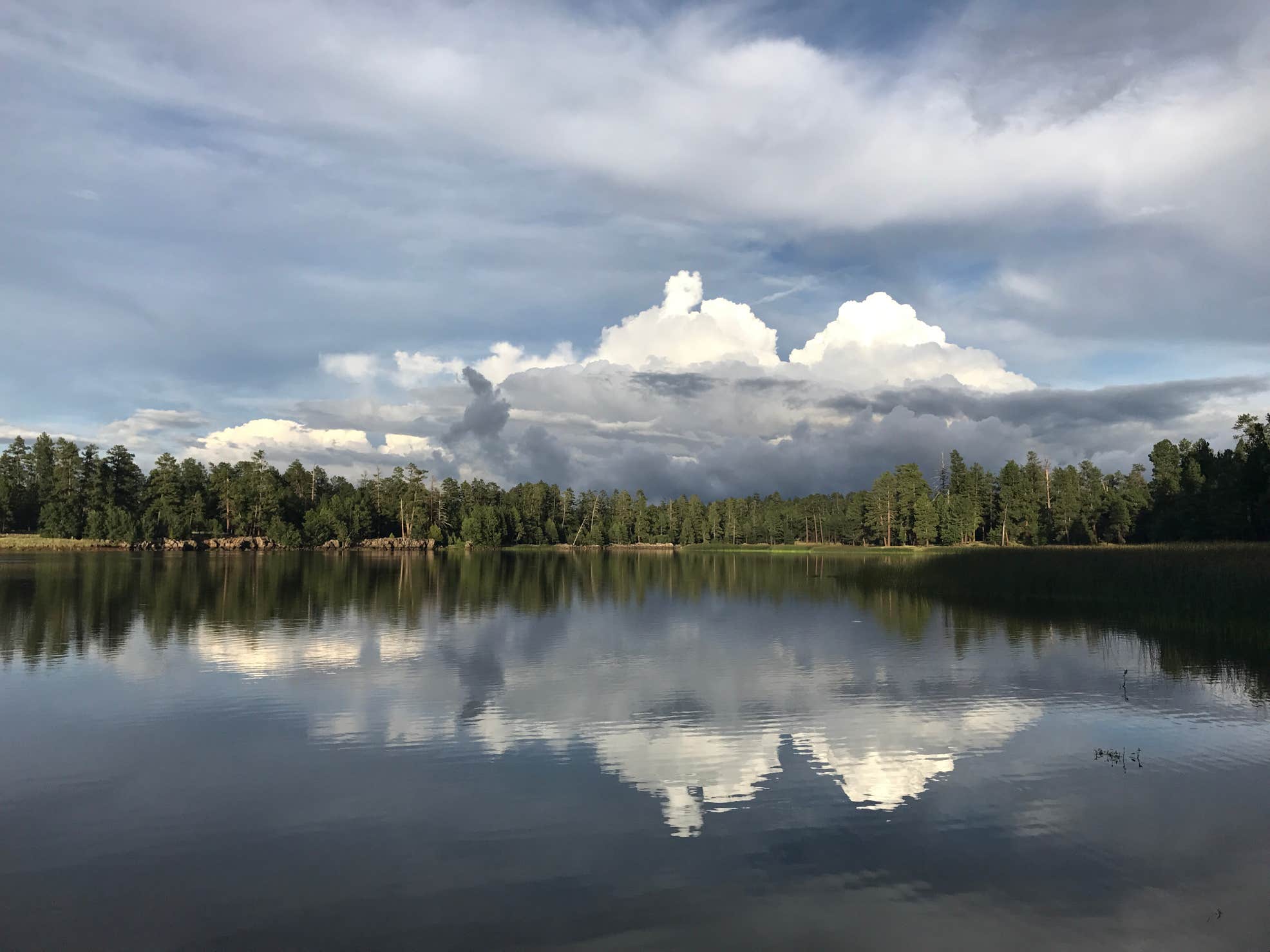 White Horse Lake Campground The Dyrt