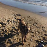 Review photo of Beverly Beach State Park Campground by Tiffany E., July 26, 2017