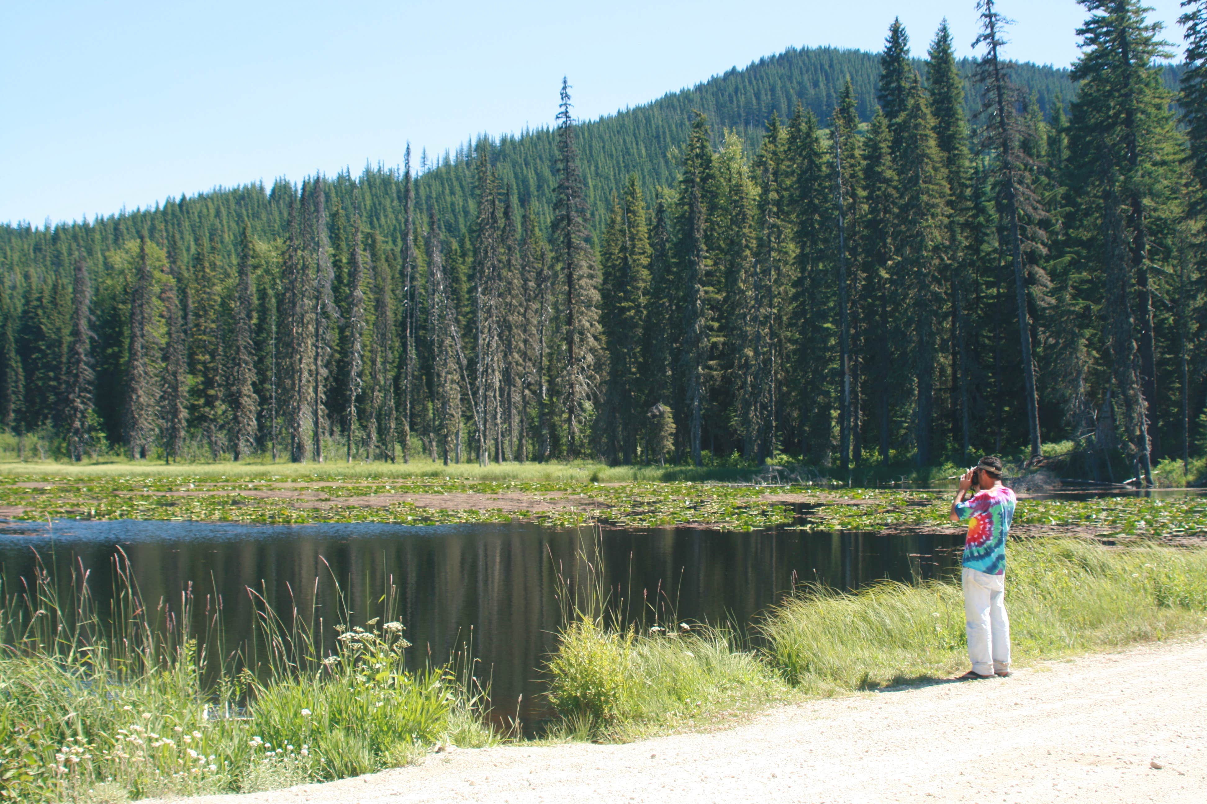 Camping near Peterson Prairie Cabin: Trout Creek, Trout Lake, Washington