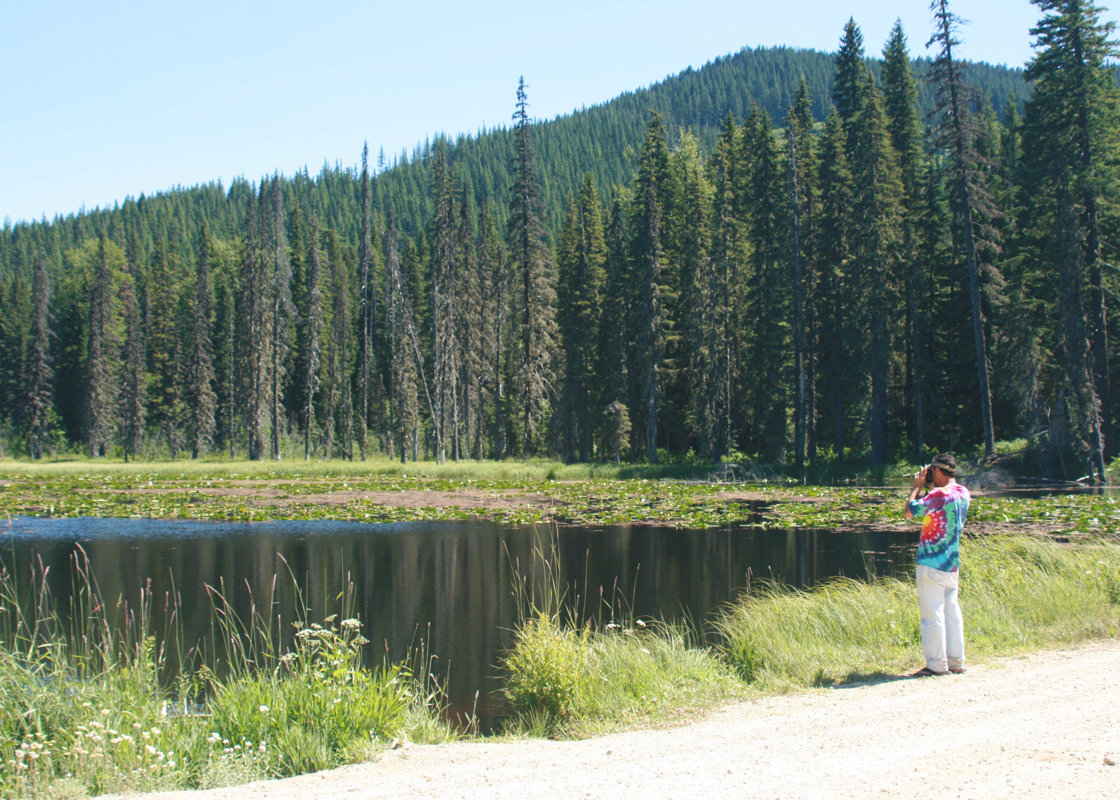 Trout Creek Camping The Dyrt