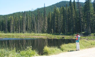Camping near Peterson Prairie Cabin: Trout Creek, Trout Lake, Washington