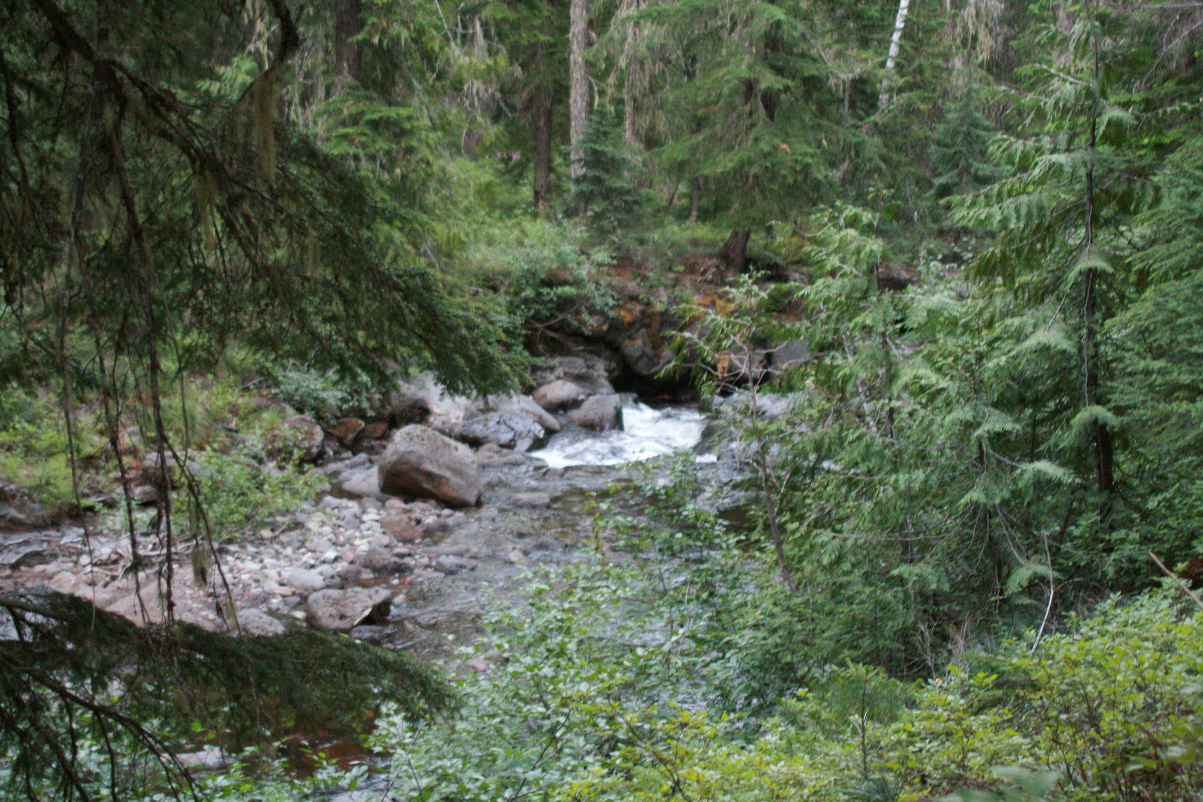 Camper-submitted photo at Trout Creek near White Salmon, WA