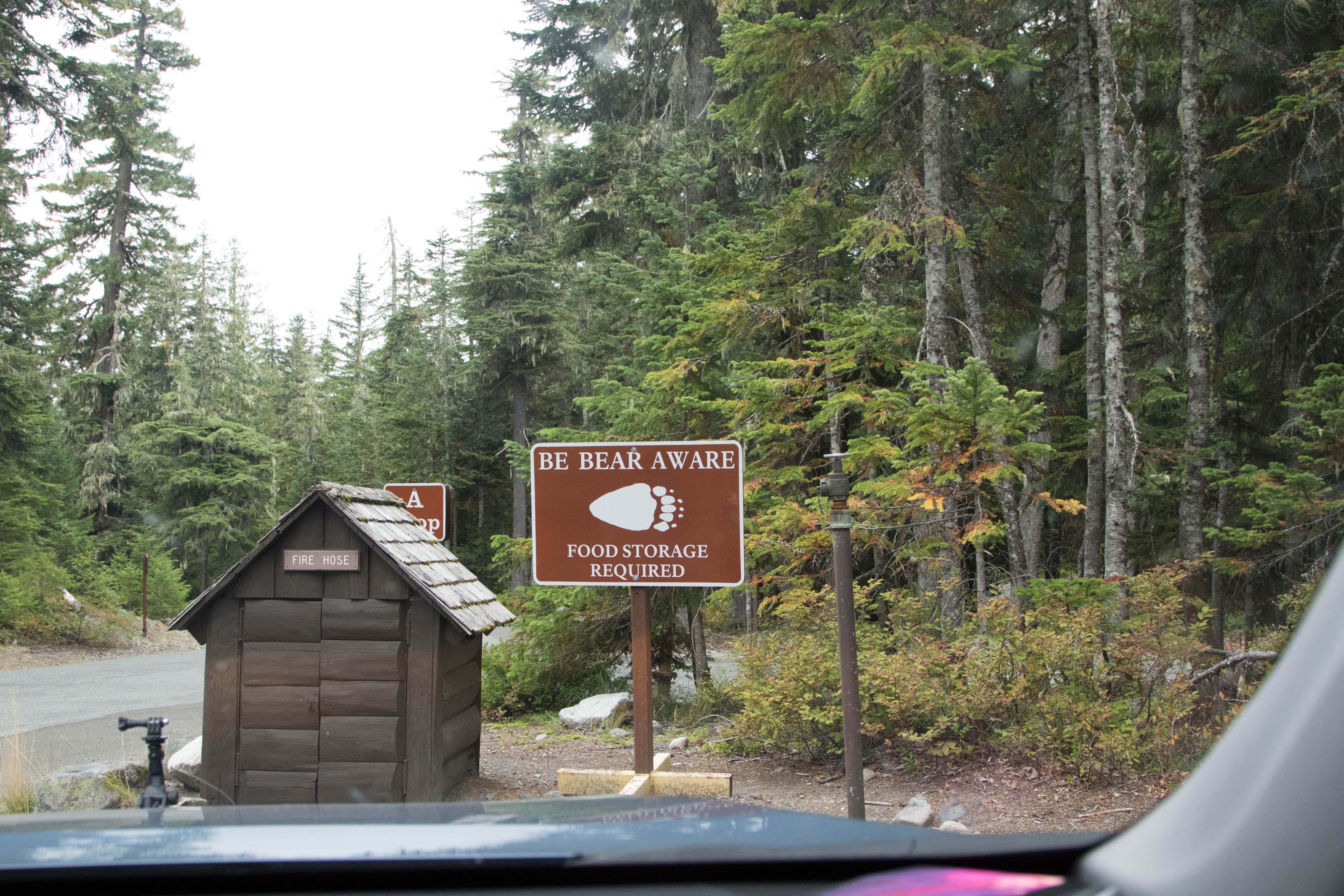 Camper submitted image from Cougar Rock Campground — Mount Rainier National Park - 5