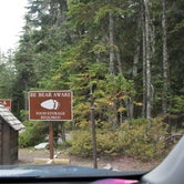 Review photo of Cougar Rock Campground — Mount Rainier National Park by Laura F., July 26, 2017