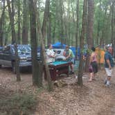 Review photo of Spirit of the Suwannee Music Park & Campground by Laura F., July 26, 2017