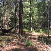 Review photo of Spirit of the Suwannee Music Park & Campground by Laura F., July 26, 2017
