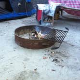 Review photo of Anastasia State Park Campground by Laura F., July 26, 2017