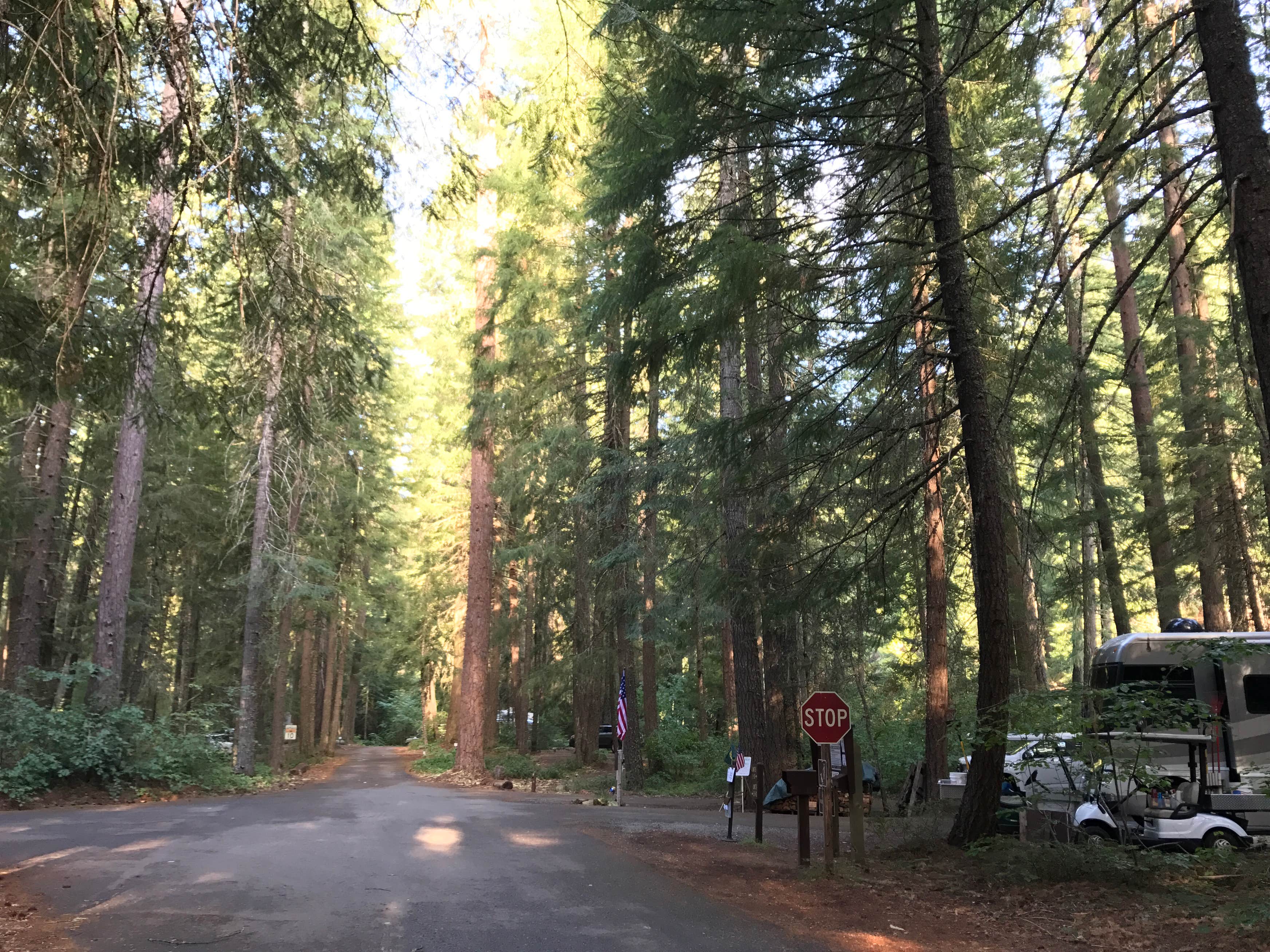 Farewell Bend Campground The Dyrt