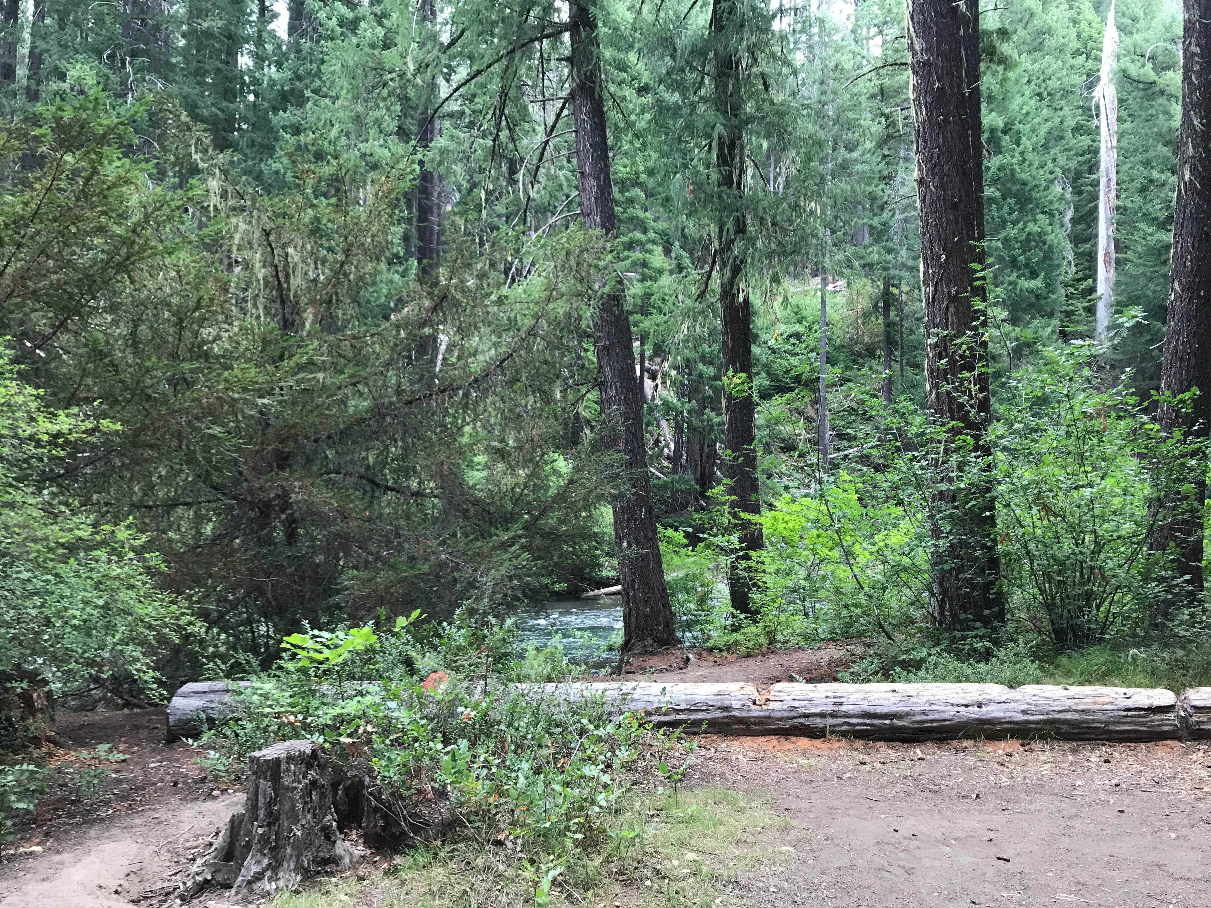 Camper-submitted photo at Farewell Bend Campground near Trail, OR