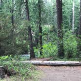 Review photo of Farewell Bend Campground by Max M., July 26, 2017