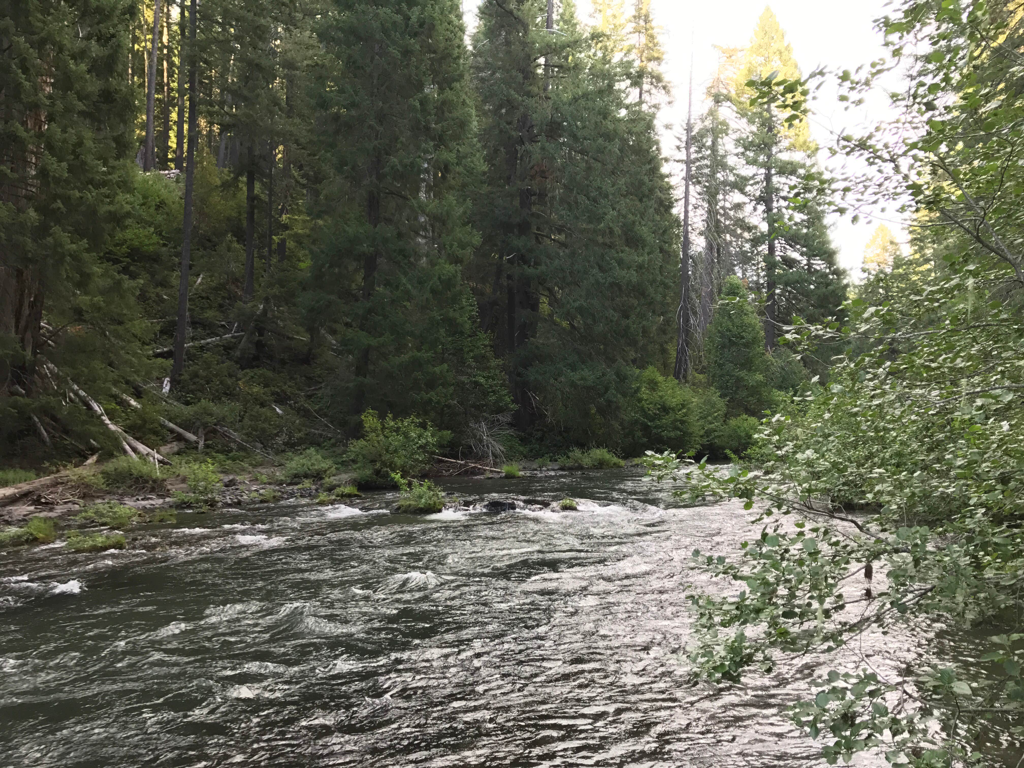Camper-submitted photo at Farewell Bend Campground near Trail, OR