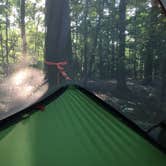 Review photo of Deerlick Creek by Asher K., June 6, 2016