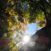 Review photo of Jamaica State Park Campground by David B., June 28, 2016