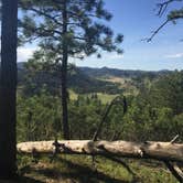 Review photo of Elk Mountain Campground — Wind Cave National Park by SwitchbackKids , July 27, 2017