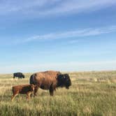 Review photo of Elk Mountain Campground — Wind Cave National Park by SwitchbackKids , July 27, 2017
