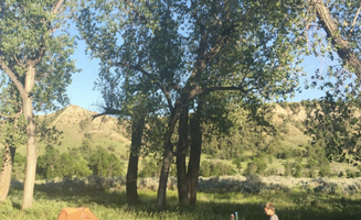 SwitchbackKids's photo at Cottonwood Campground — Theodore Roosevelt National Park near Medora, ND