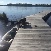 Review photo of Rainy Lake Frontcountry Camping — Voyageurs National Park by SwitchbackKids , July 27, 2017