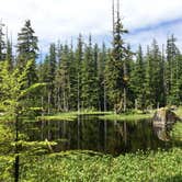 Review photo of Bartlett Cove Campground — Glacier Bay National Park by SwitchbackKids , July 27, 2017