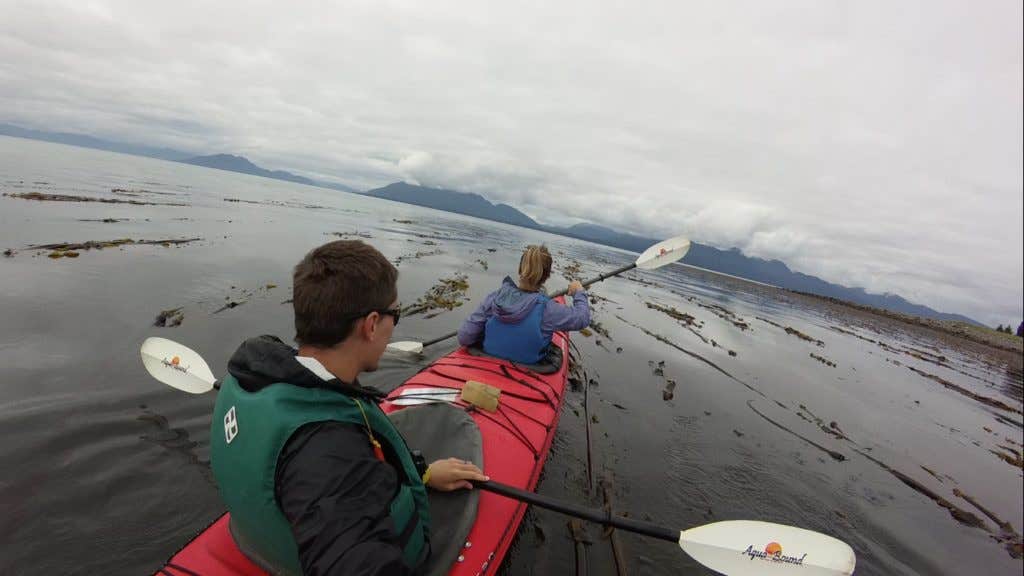 Camper submitted image from Bartlett Cove Campground — Glacier Bay National Park - 5