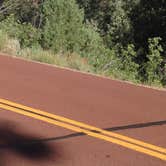 Review photo of Zion RV and Campground (Hi-Road) by Meike  W., June 28, 2016