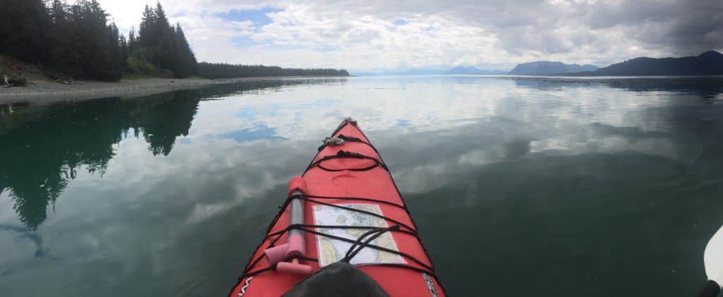 Camper submitted image from Bartlett Cove Campground — Glacier Bay National Park - 5